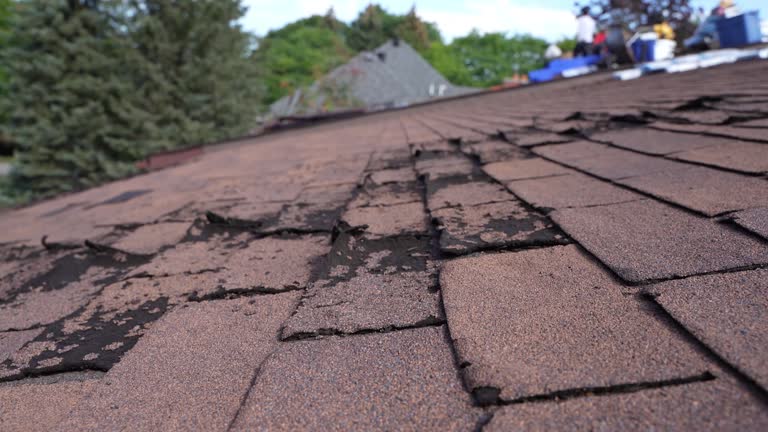 Best Storm Damage Roof Repair  in Boyes Hot Springs, CA